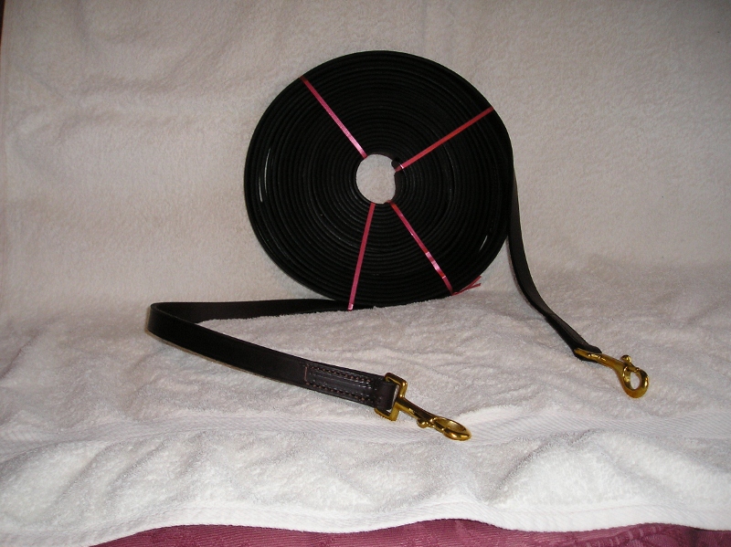 leather long reins