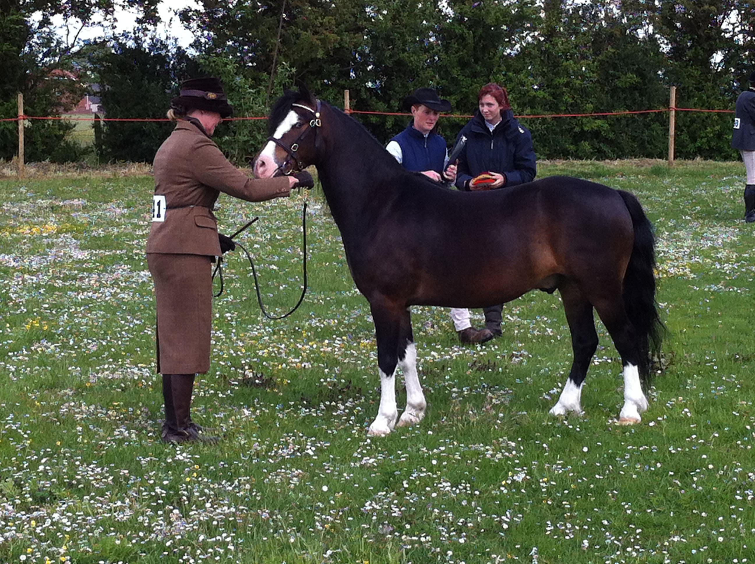 Frank showing summer 2013