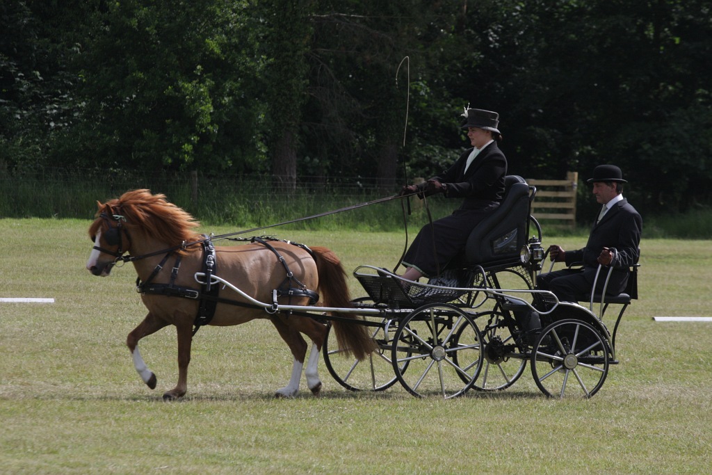Carriage photo 2