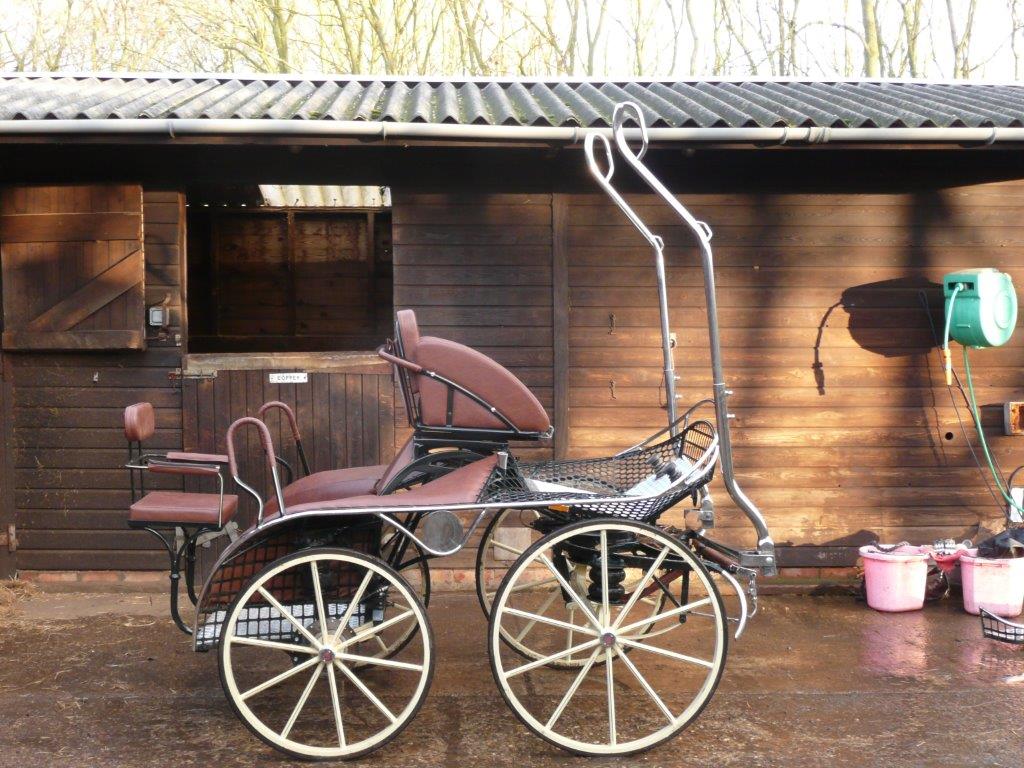 WBR Single dressage