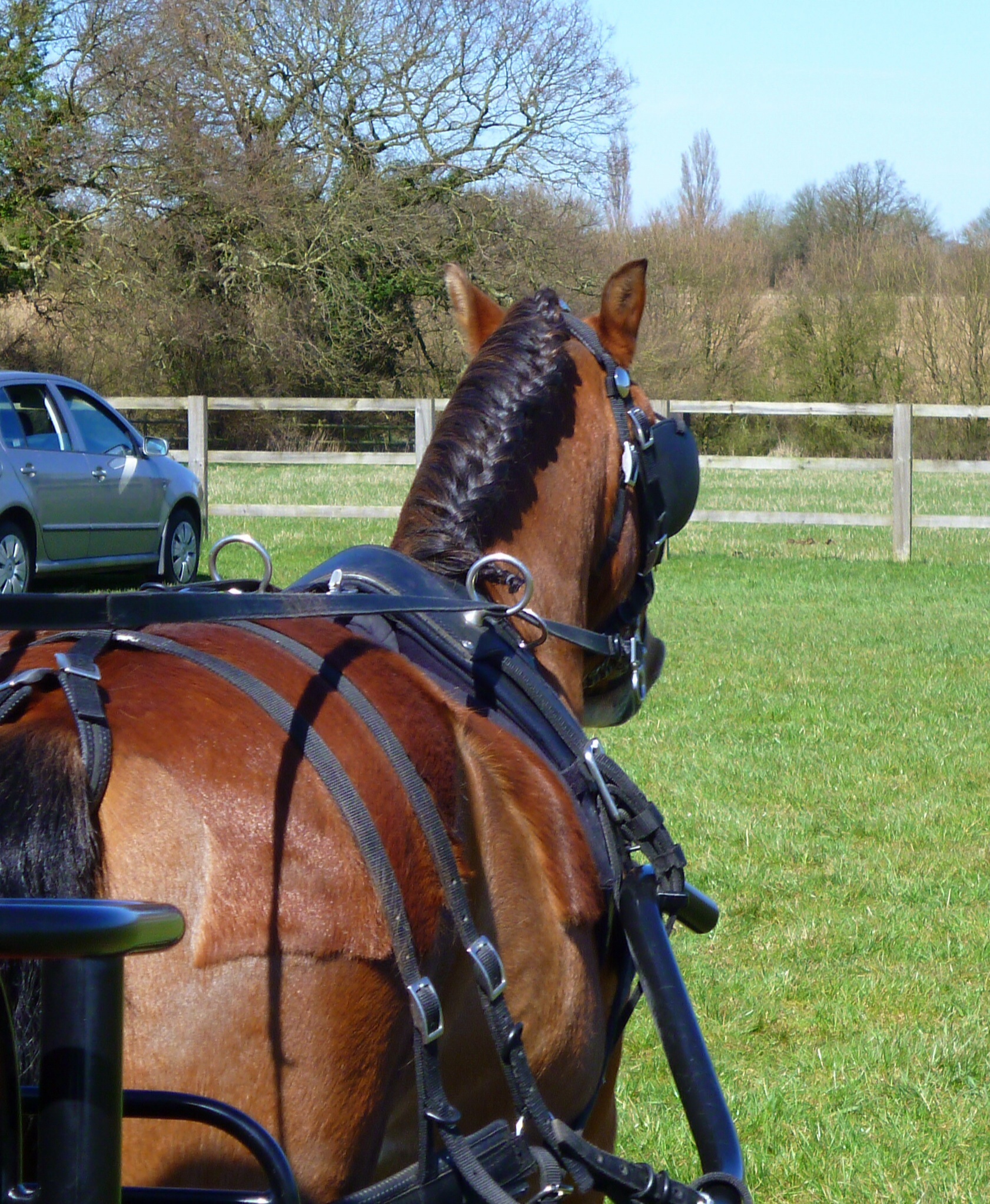 Pony plait