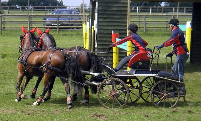 Marathon Carriage