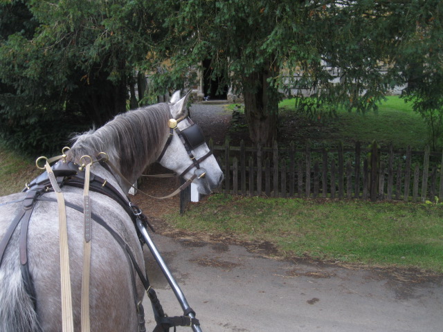 harness in use with QR tugs,