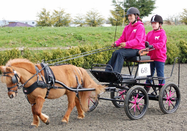 carriage