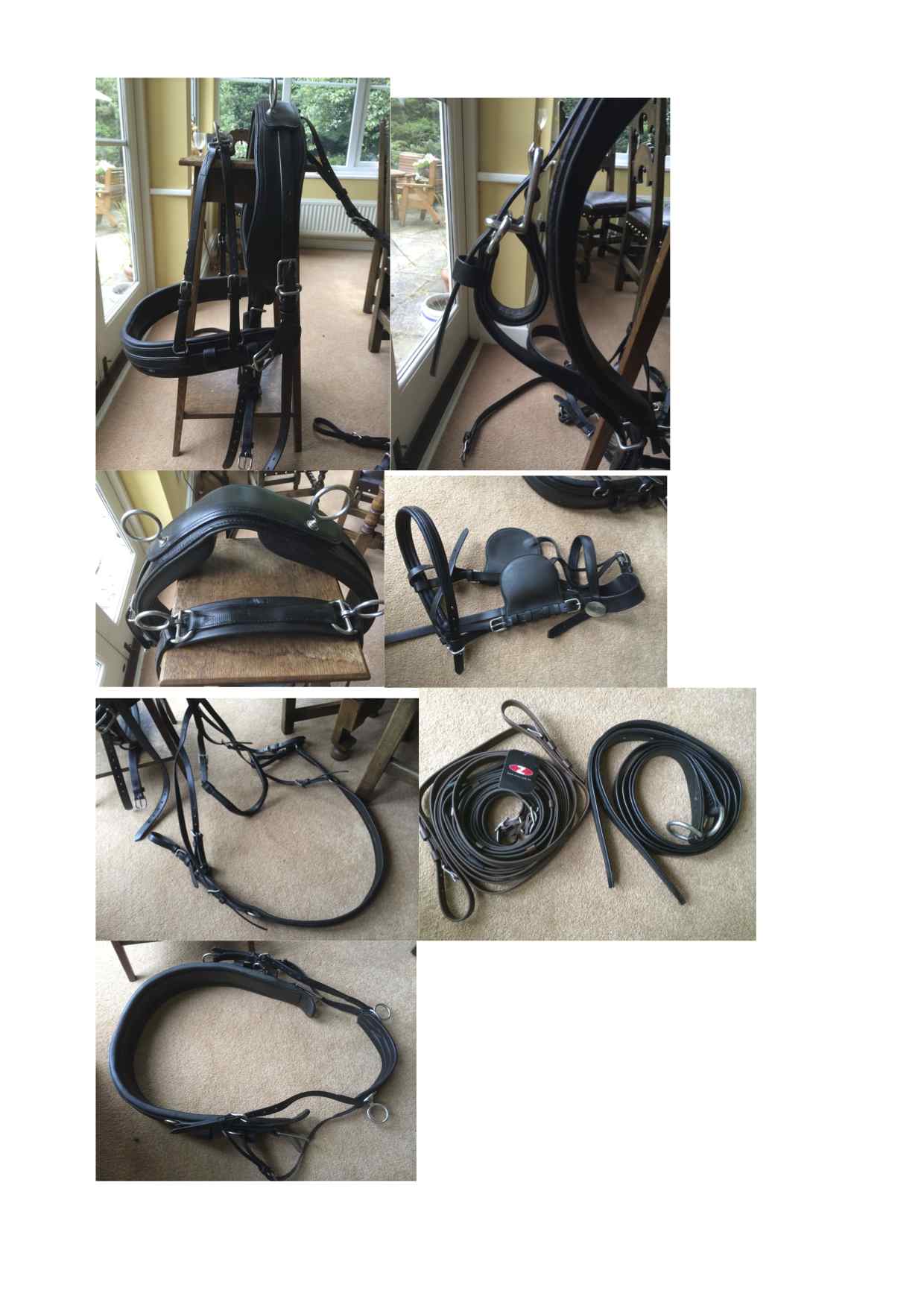 photos