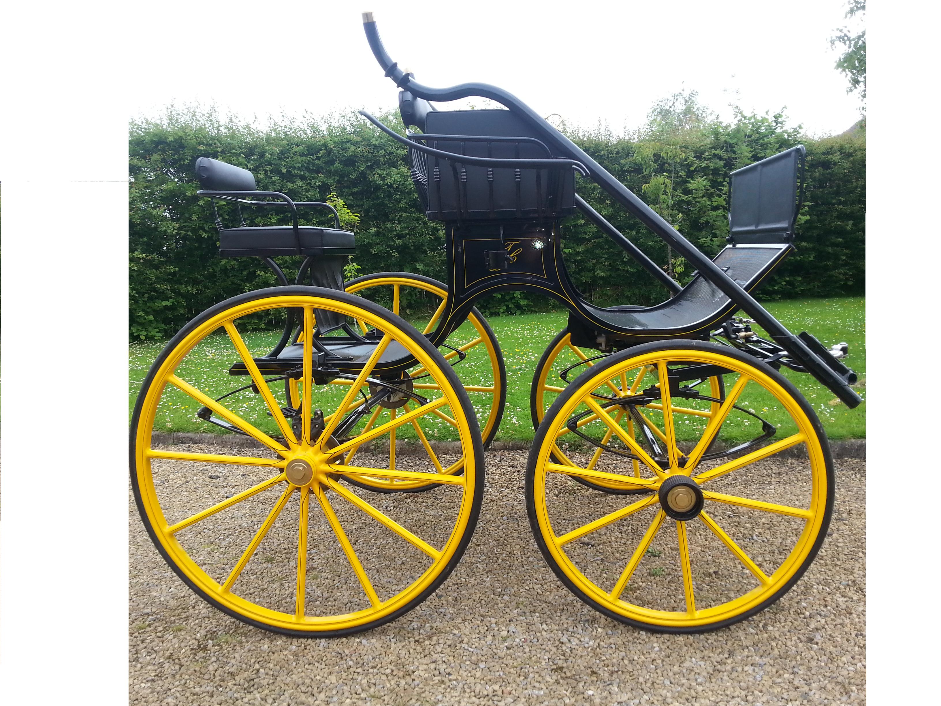 Bennington Single Horse Presentation Carriage
