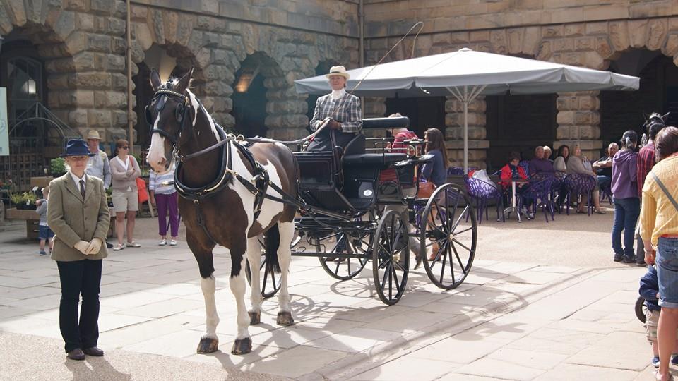 spyder phaeton