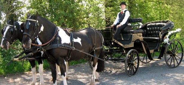 fred driving
