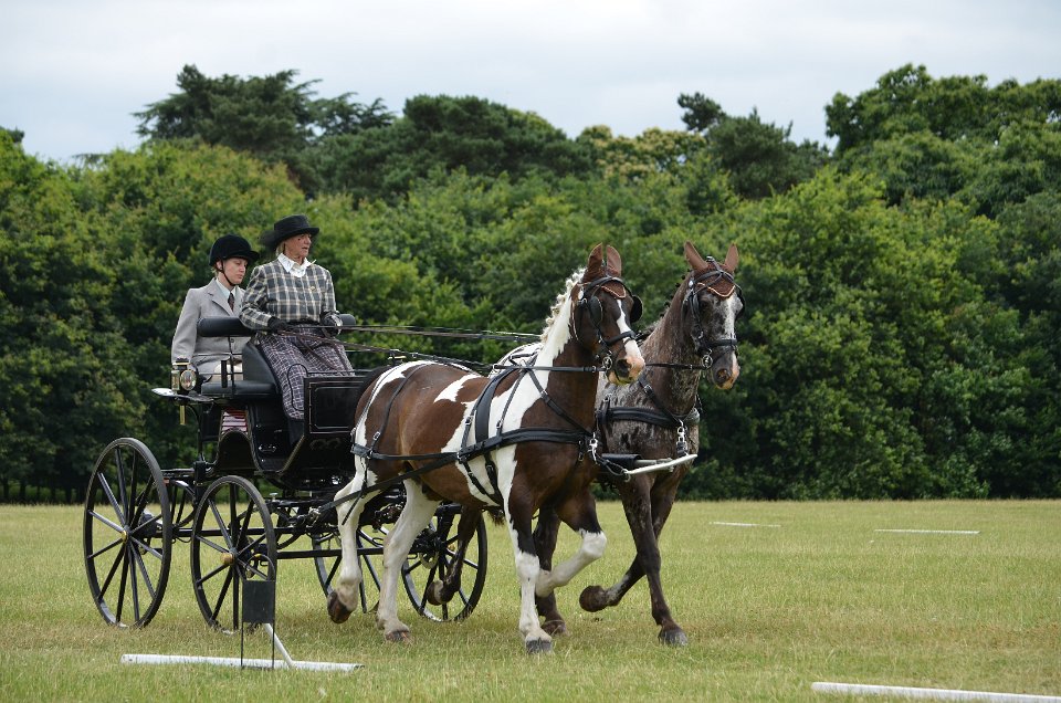pairs at Allerton