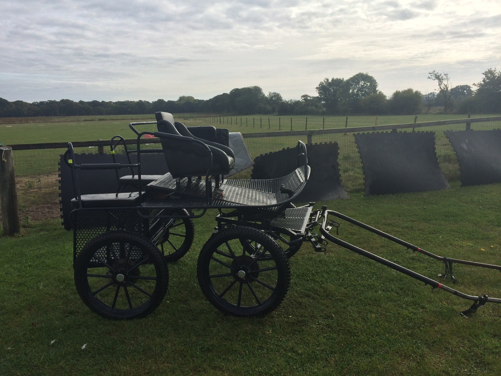 Exercise carriage