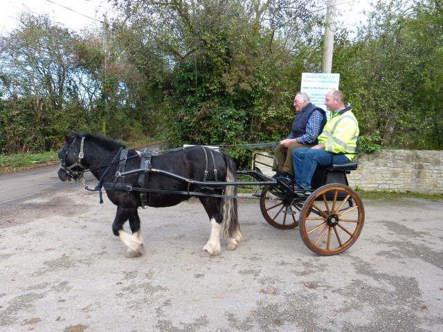 Fenix Carriage
