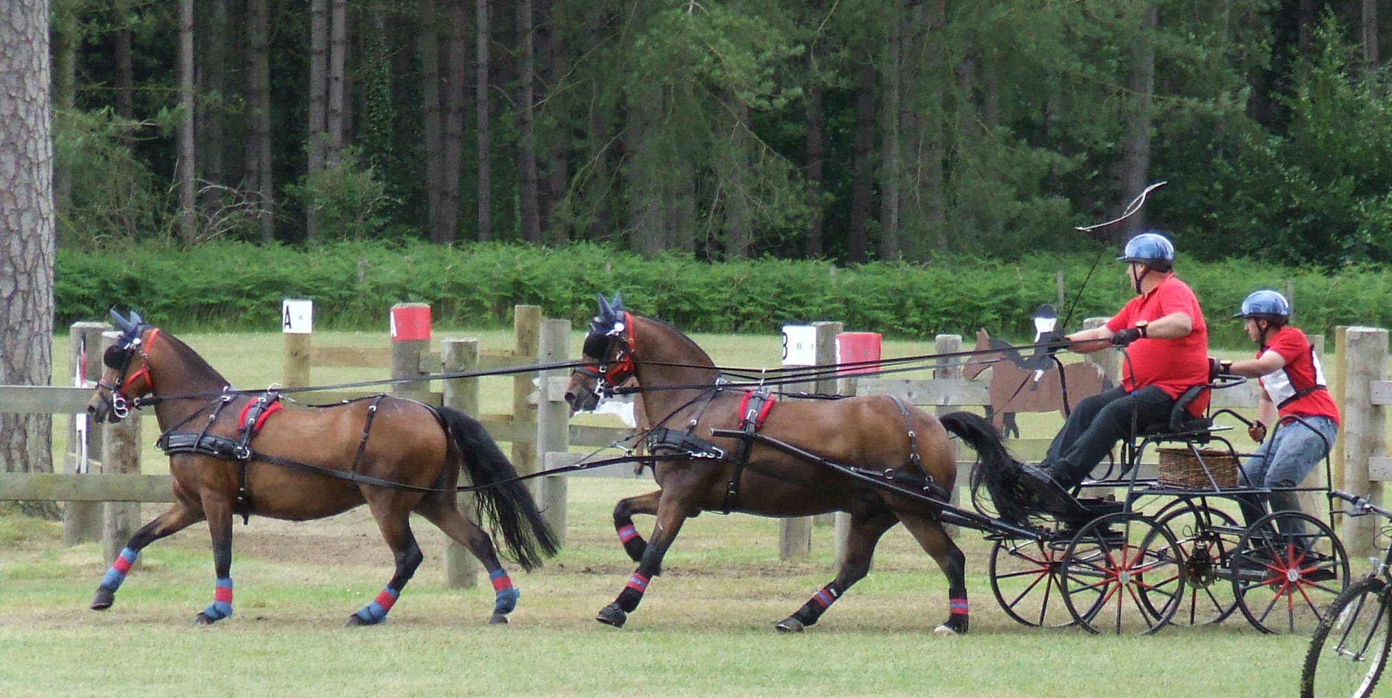 pony tandem