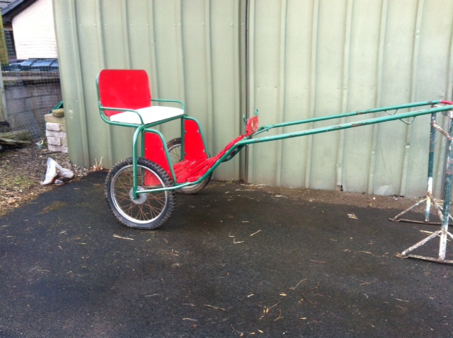 Training cart