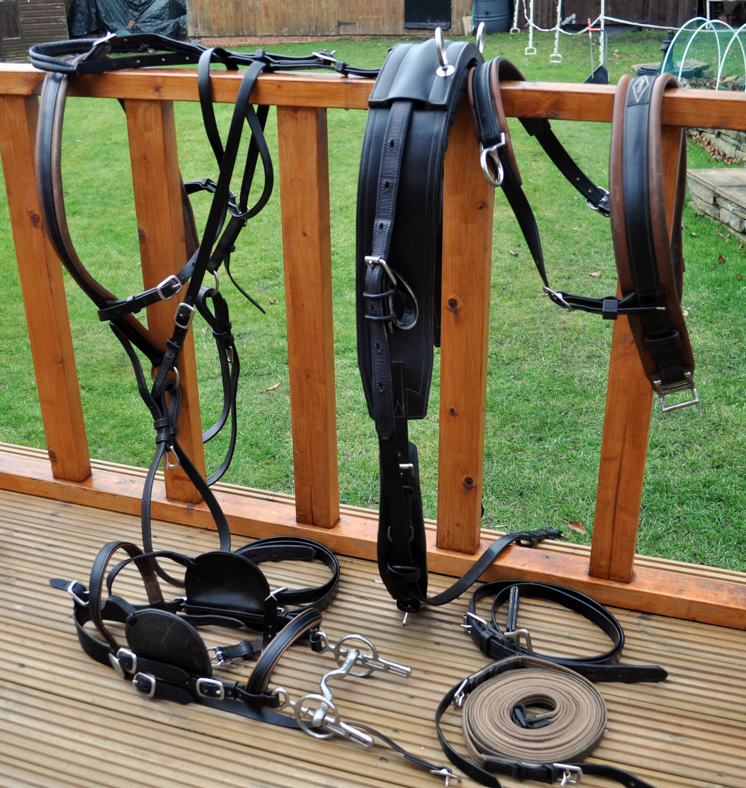 Tedman Harness