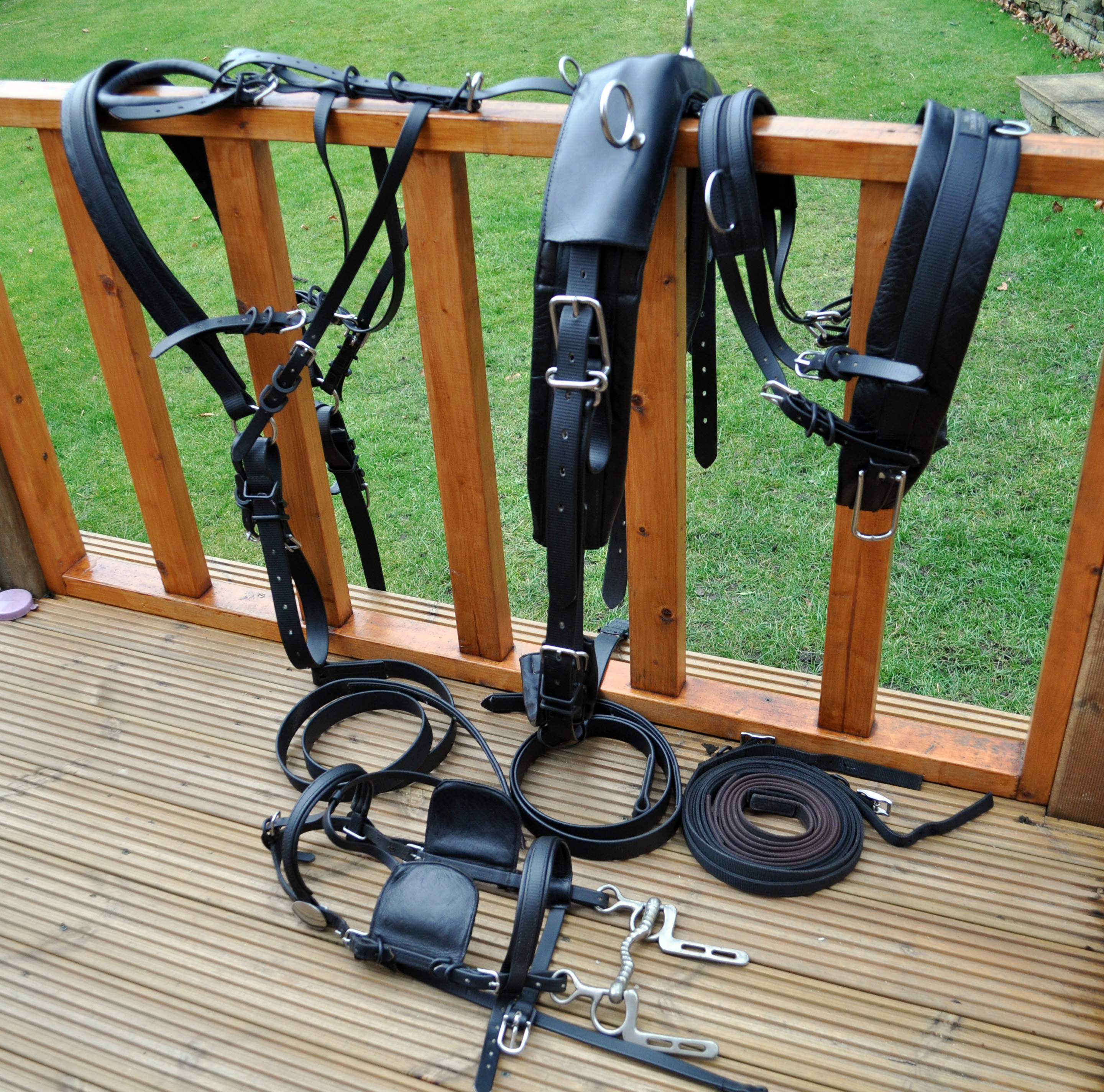 Plas Harness