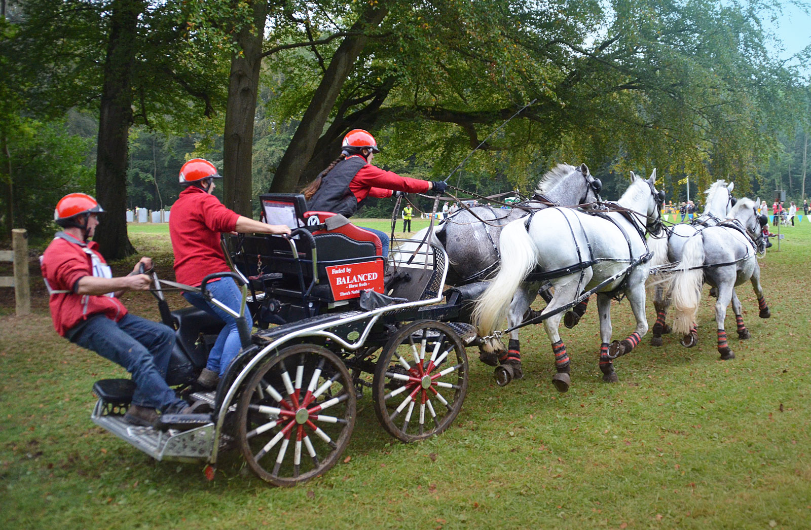 Horse team carriage for sal