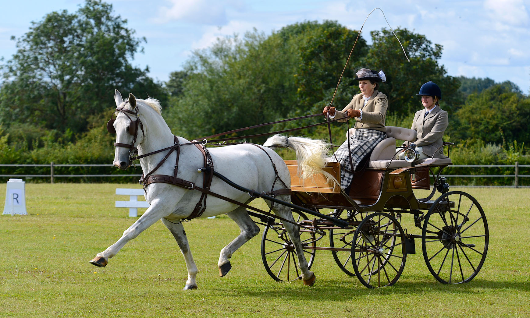 Blandings, 2014