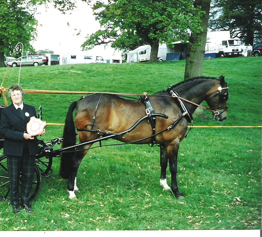 harness