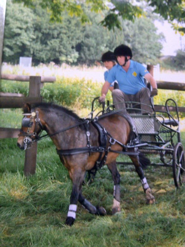 Driving pony