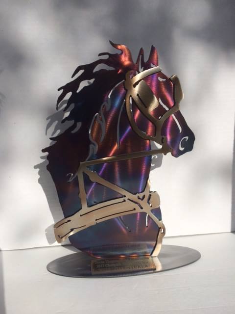 Single Horse and Pony. First..