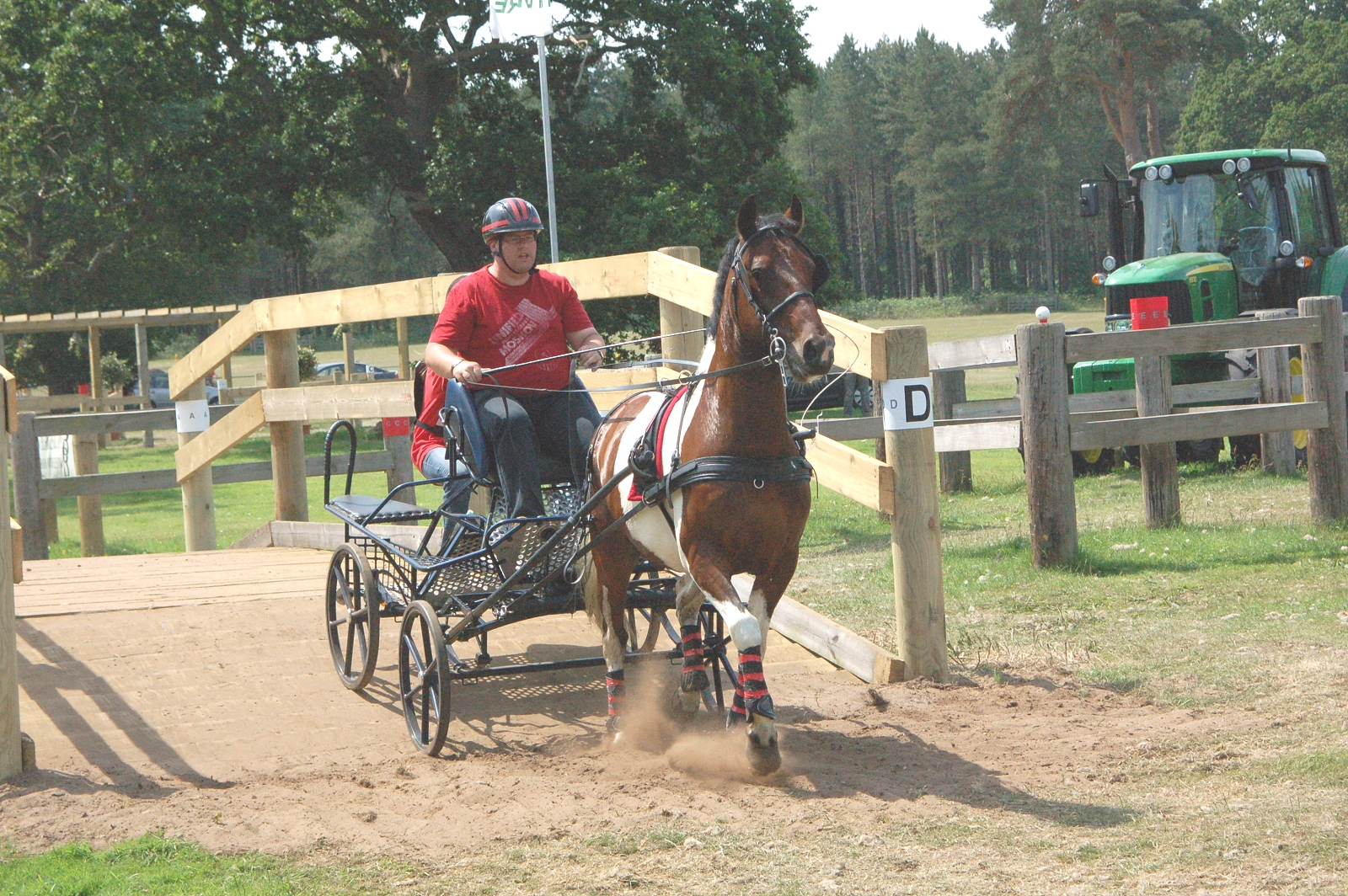 For sale 14h2 ride and drive