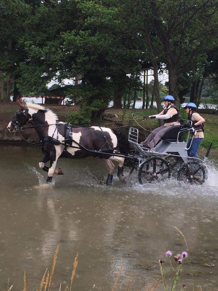 Allerton park 2015