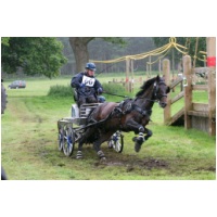 Ian Bertram flies