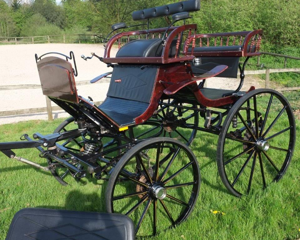 horse pairs presentation carriage