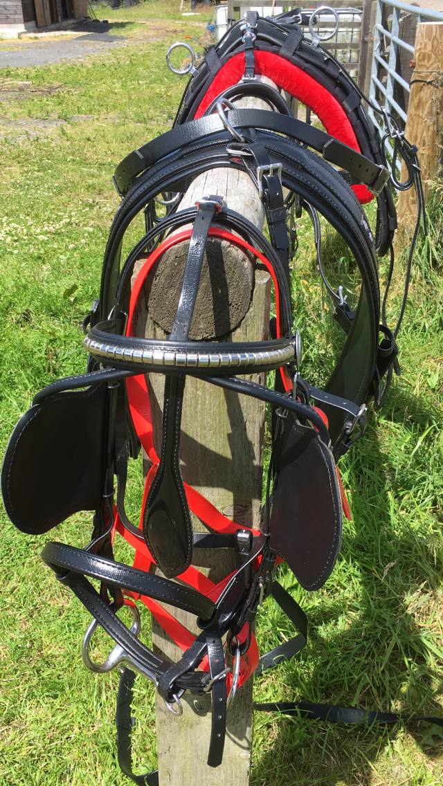 Zilco harness