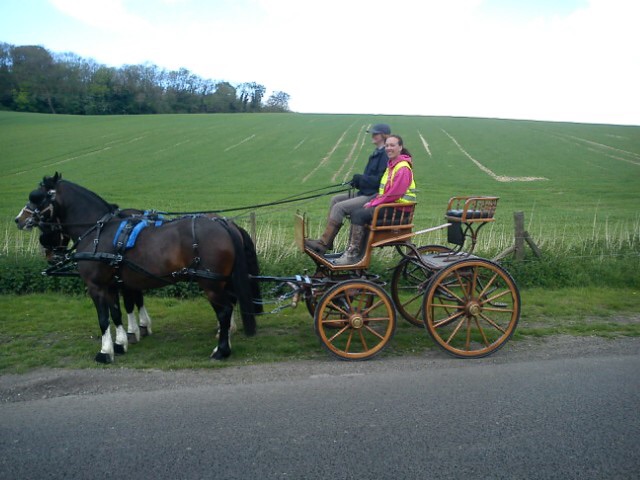 Presentation carriage
