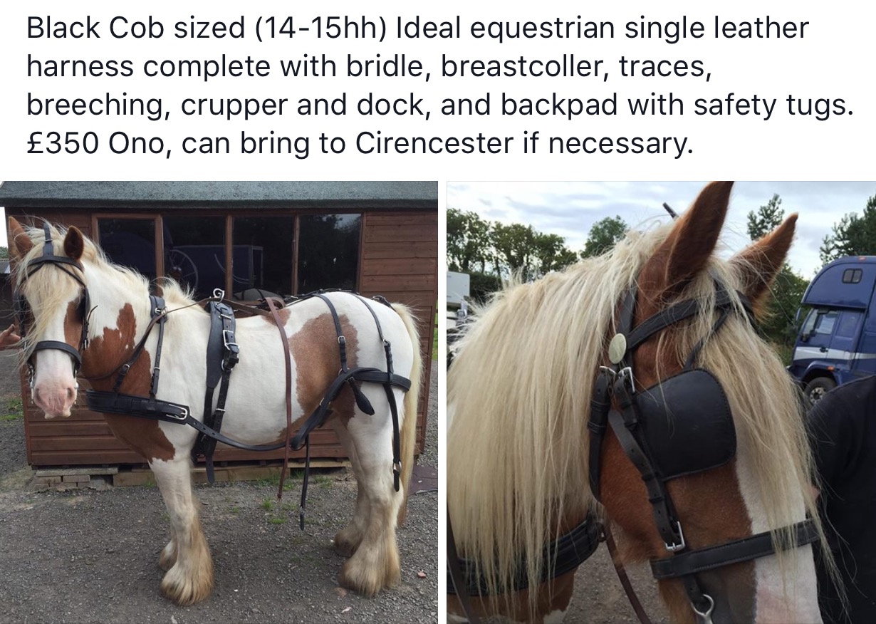 Harness