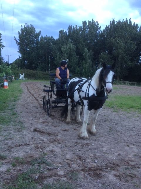 Lovely Ride and Drive 