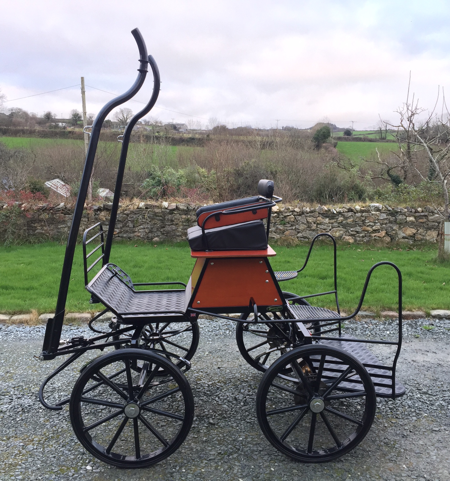 Carriage Photo