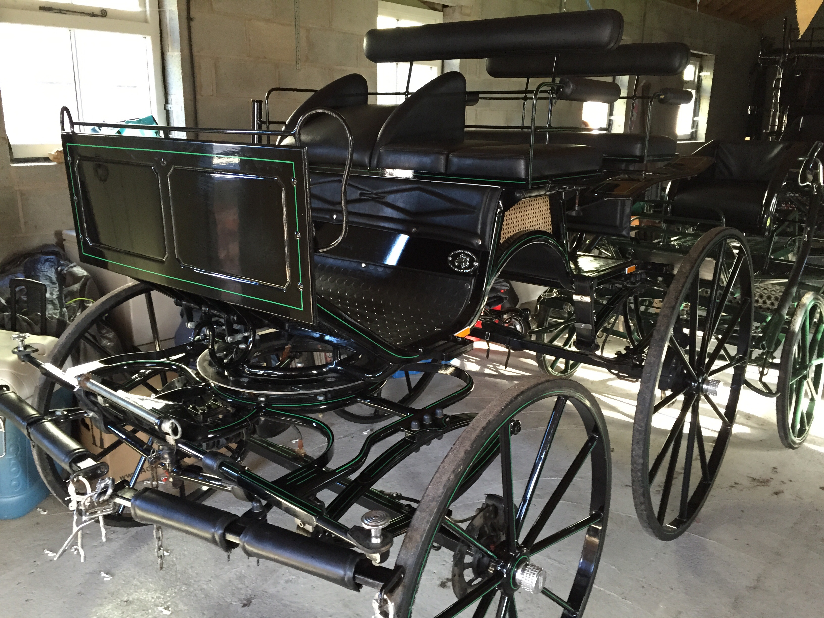 Horse pair Dressage carriage