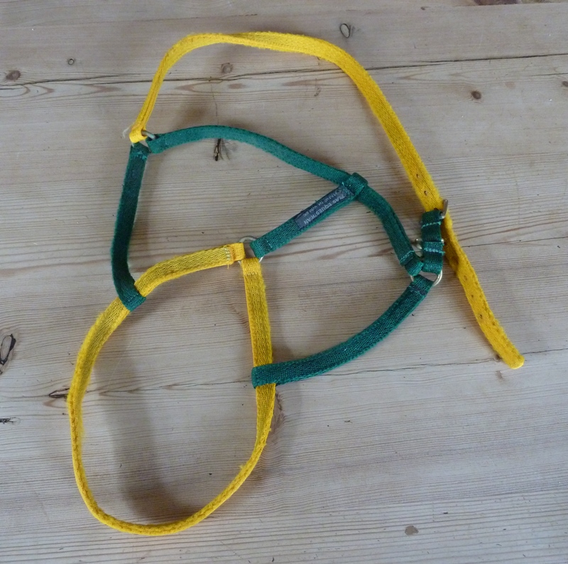 Headcollar and fly fringe