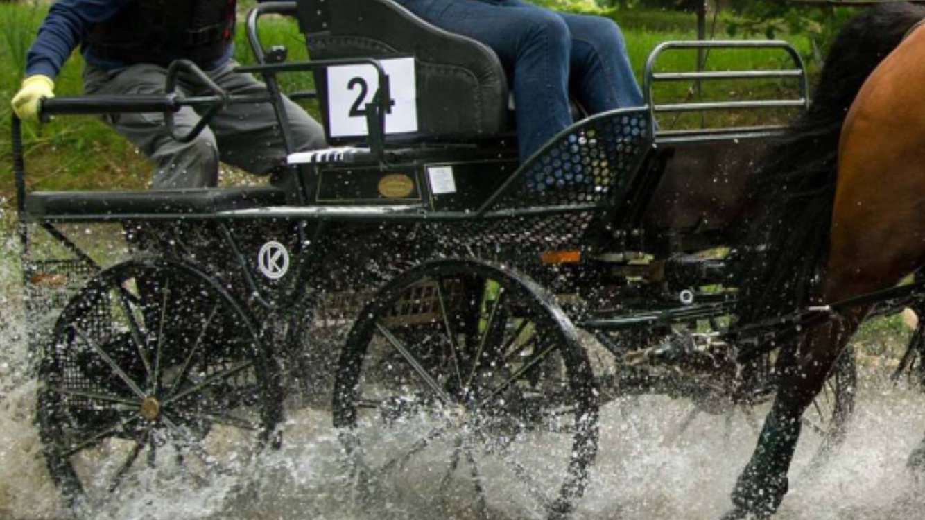 Carriage 