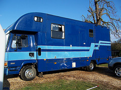 Horse Box