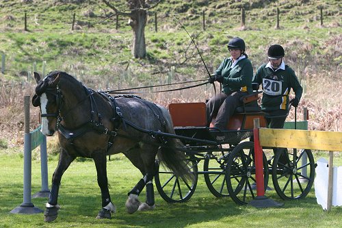 Dalmeny 2008