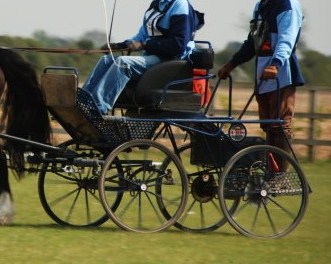 ECC Horse Carriage Pic