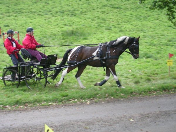 Older brother driving single at an event.