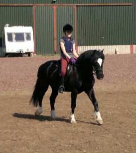 Gavin ridden