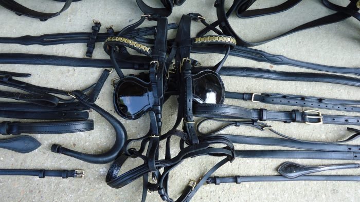 harness