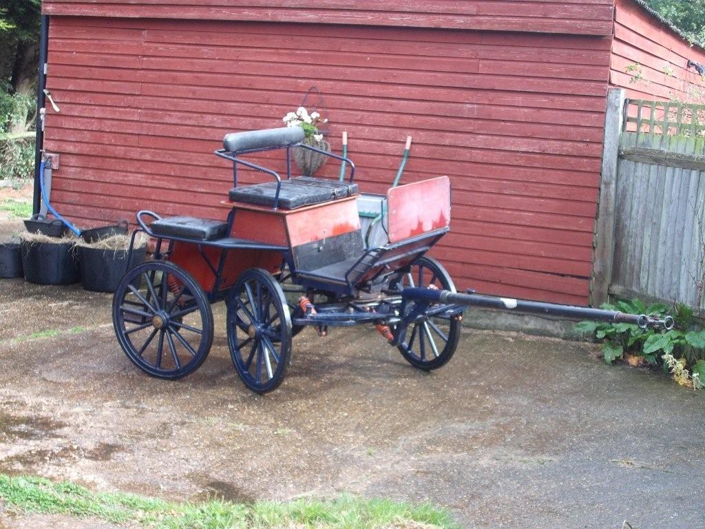Bennington Pony Pair Carriage