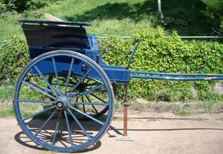Fenix Rallicar