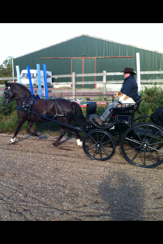 Magic in phaeton