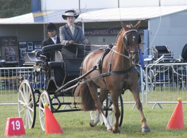 Teresa Macleod, Novice Single Horse National Champion