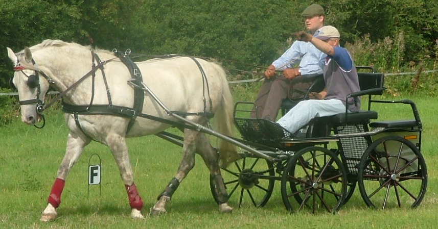 Stolen Carriage