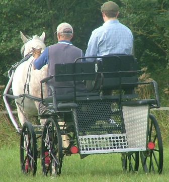 Stolen Carriage