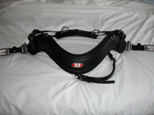 photos