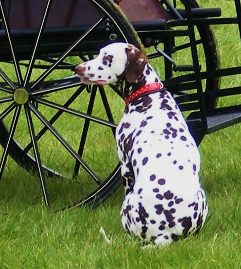 Benson